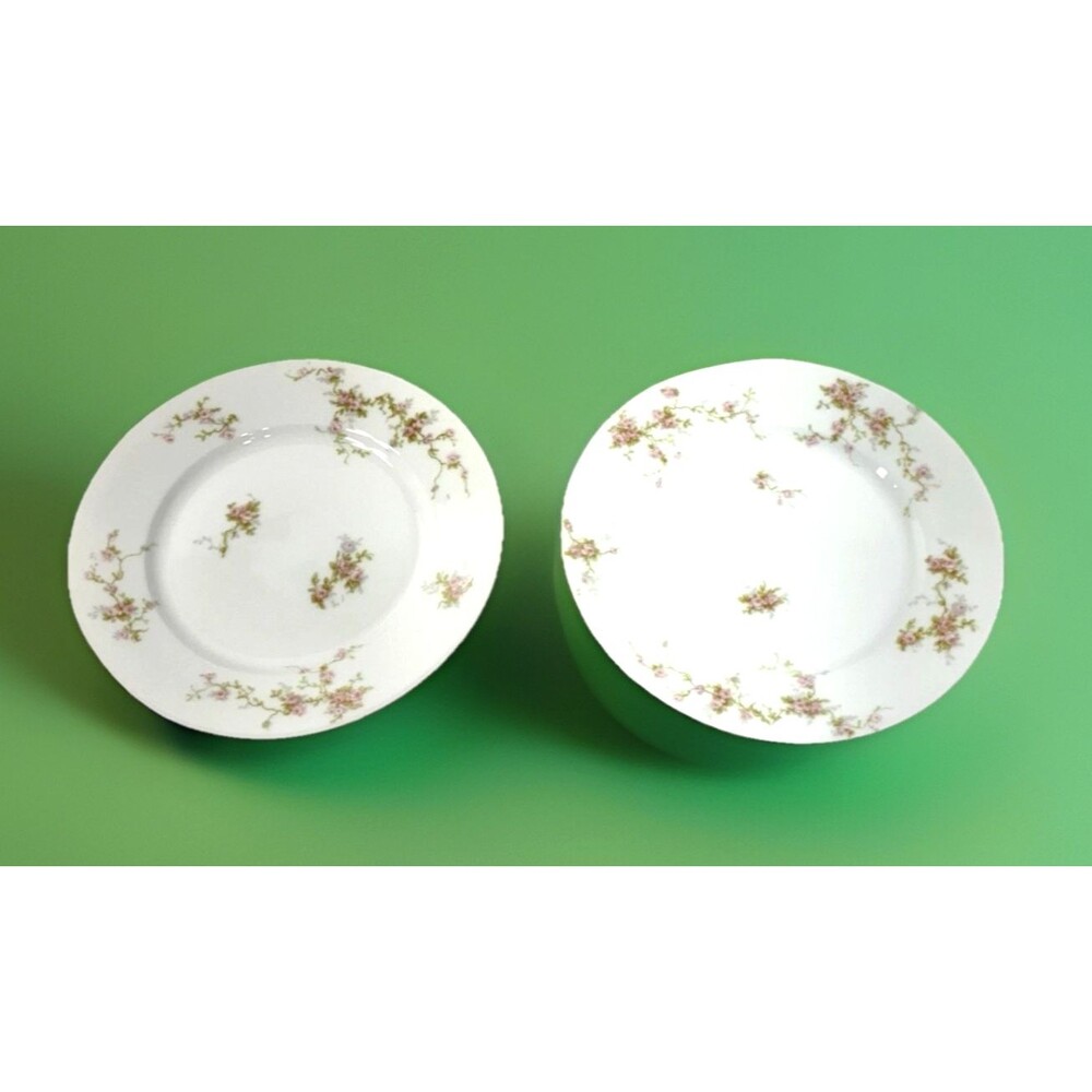 Theodore Haviland Limoges France Lot of 2 Vintage Porcelain Bread Plates